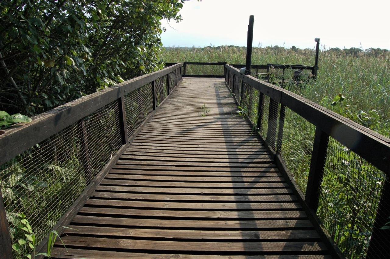 28 And 29 The Bridge Leilighet Saint Lucia Estuary Eksteriør bilde
