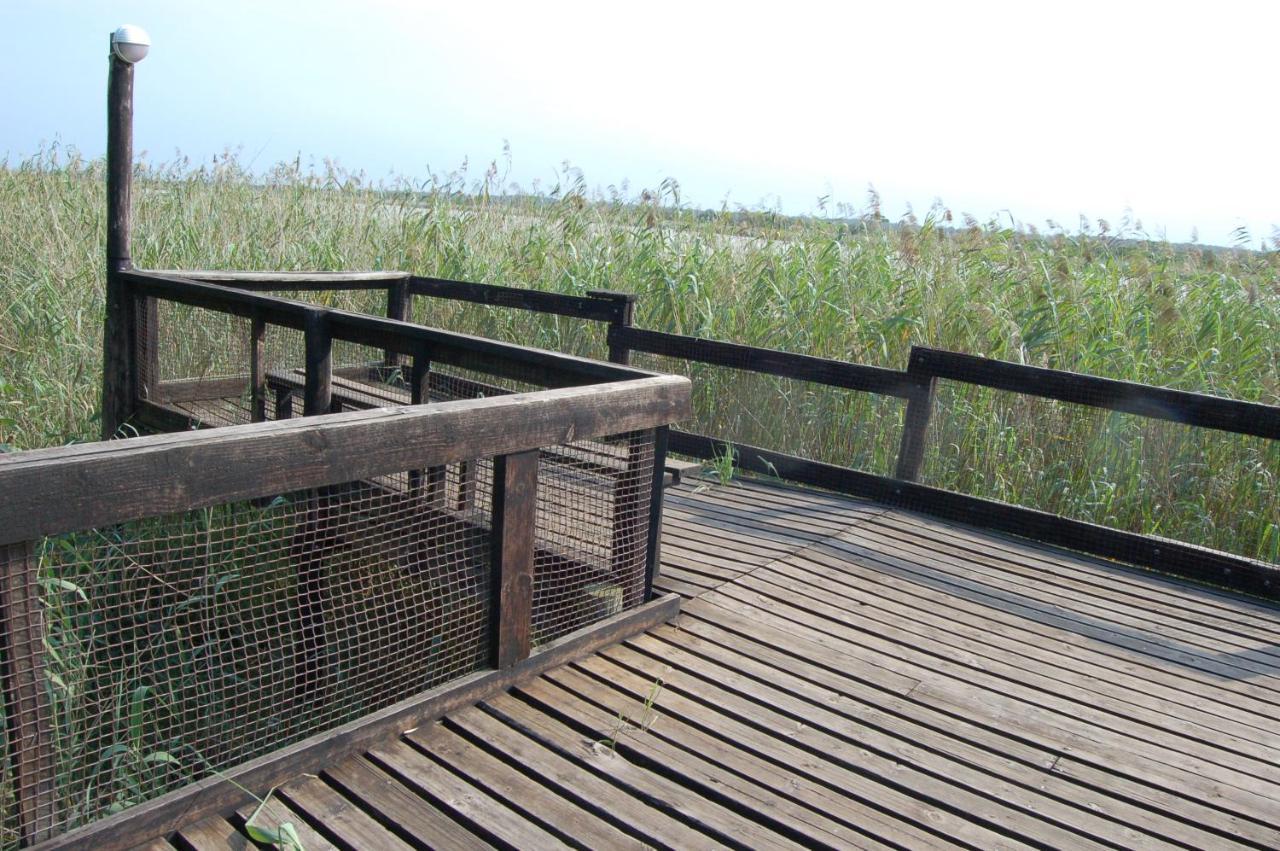 28 And 29 The Bridge Leilighet Saint Lucia Estuary Eksteriør bilde